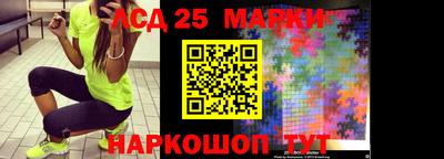 индика Нальчик