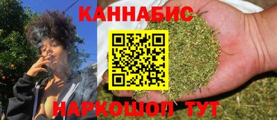 индика Нальчик