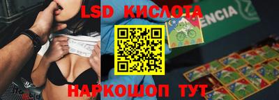 индика Нальчик