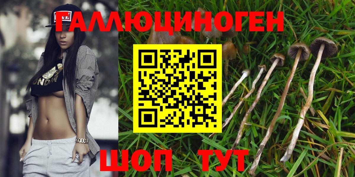 Саянск  Вход с VPN  Конопля  КОКАИН  NBOMe  Меф МЯУ МЯУ   Alpha-PVP СОЛЬ   ГАШИШ 