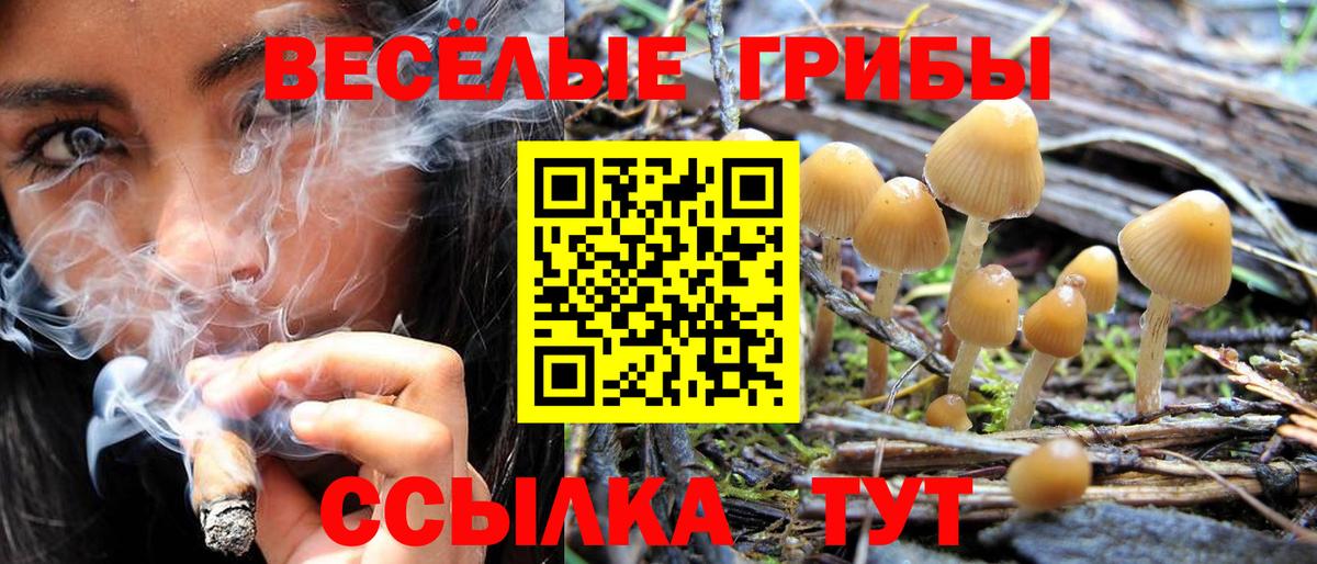 Галлюциногенные грибы мицелий Саянск